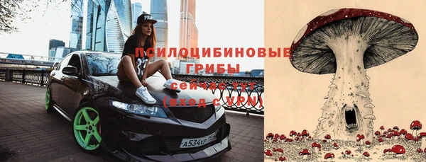сатива Семилуки