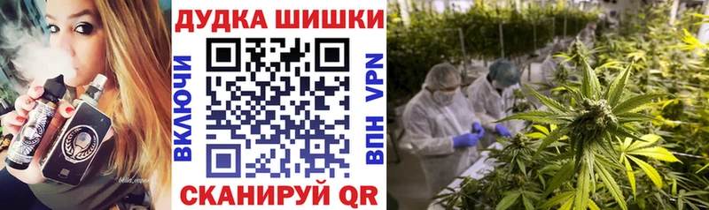 Бошки марихуана сатива где купить наркоту Пучеж